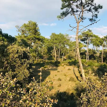 Le Hilaire Vue Ocean Saint-Hilaire-de-Riez
